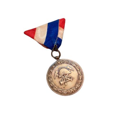 Vatrogasna medalja-Semeljci-30 god.